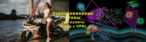 ешки Алексеевка