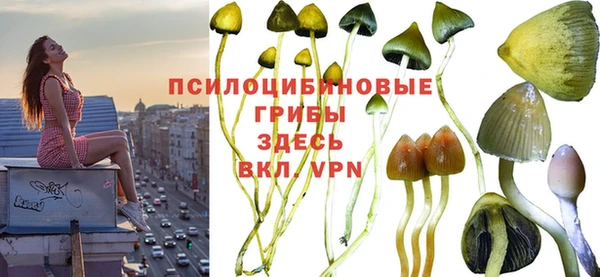 спиды Армянск