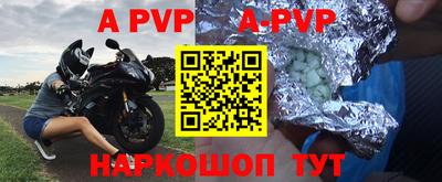 мдпв Кингисепп