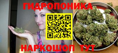 мдпв Кингисепп