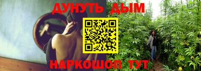 дживик Кимры