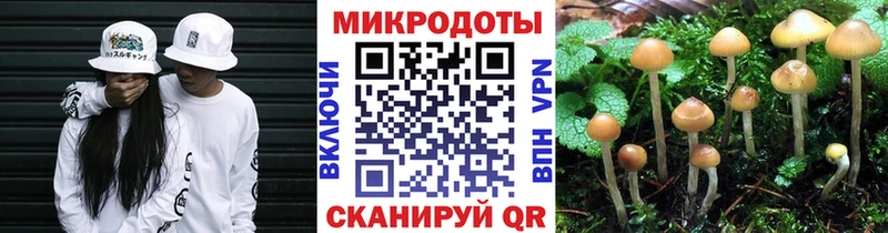 Псилоцибиновые грибы GOLDEN TEACHER  где купить   KRAKEN зеркало  Когалым 