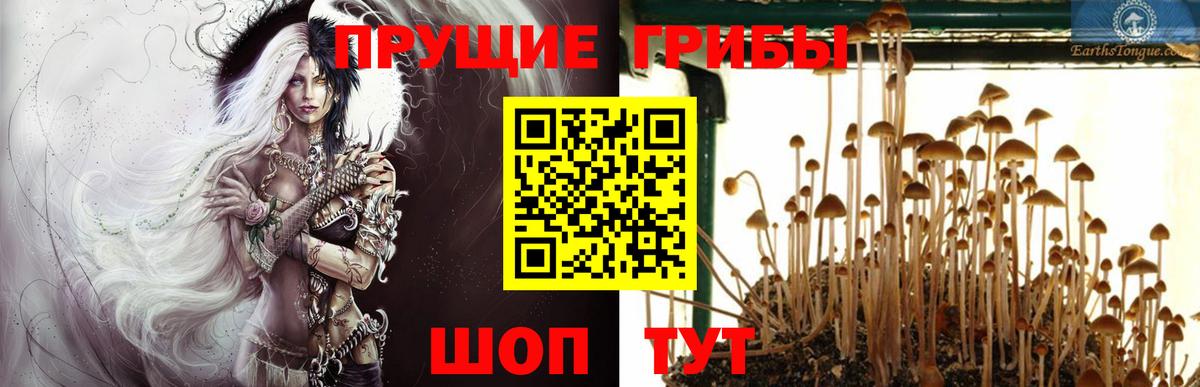 Галлюциногенные грибы Magic Shrooms  Вход с VPN  Когалым  Галлюциногенные грибы мухоморы 